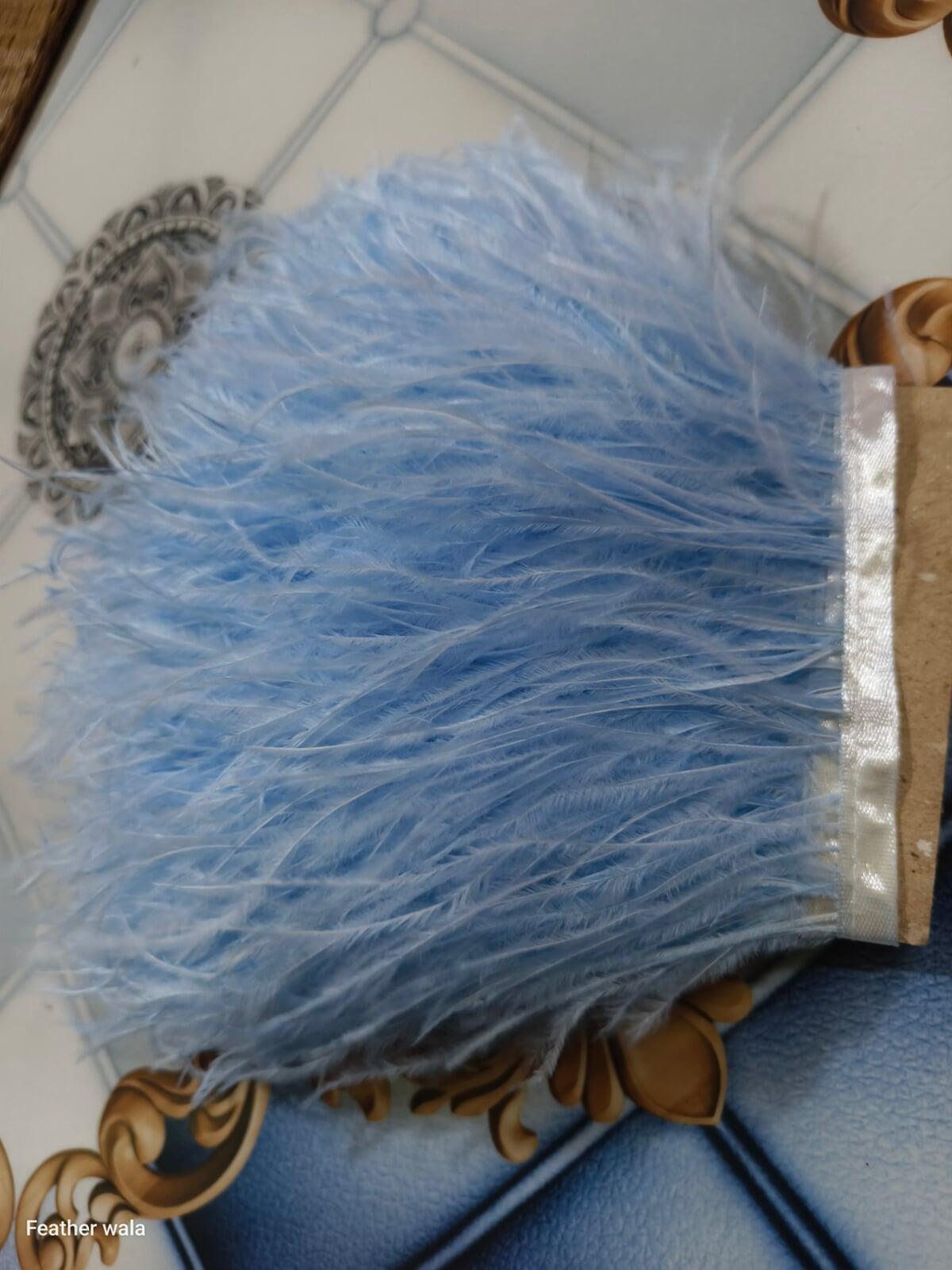 Ostrich feather trim